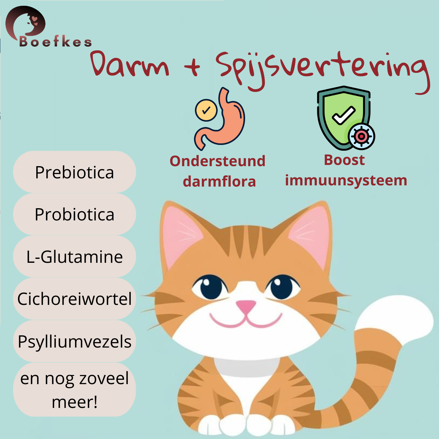 Boefkes Darm + Probiotica Supplement