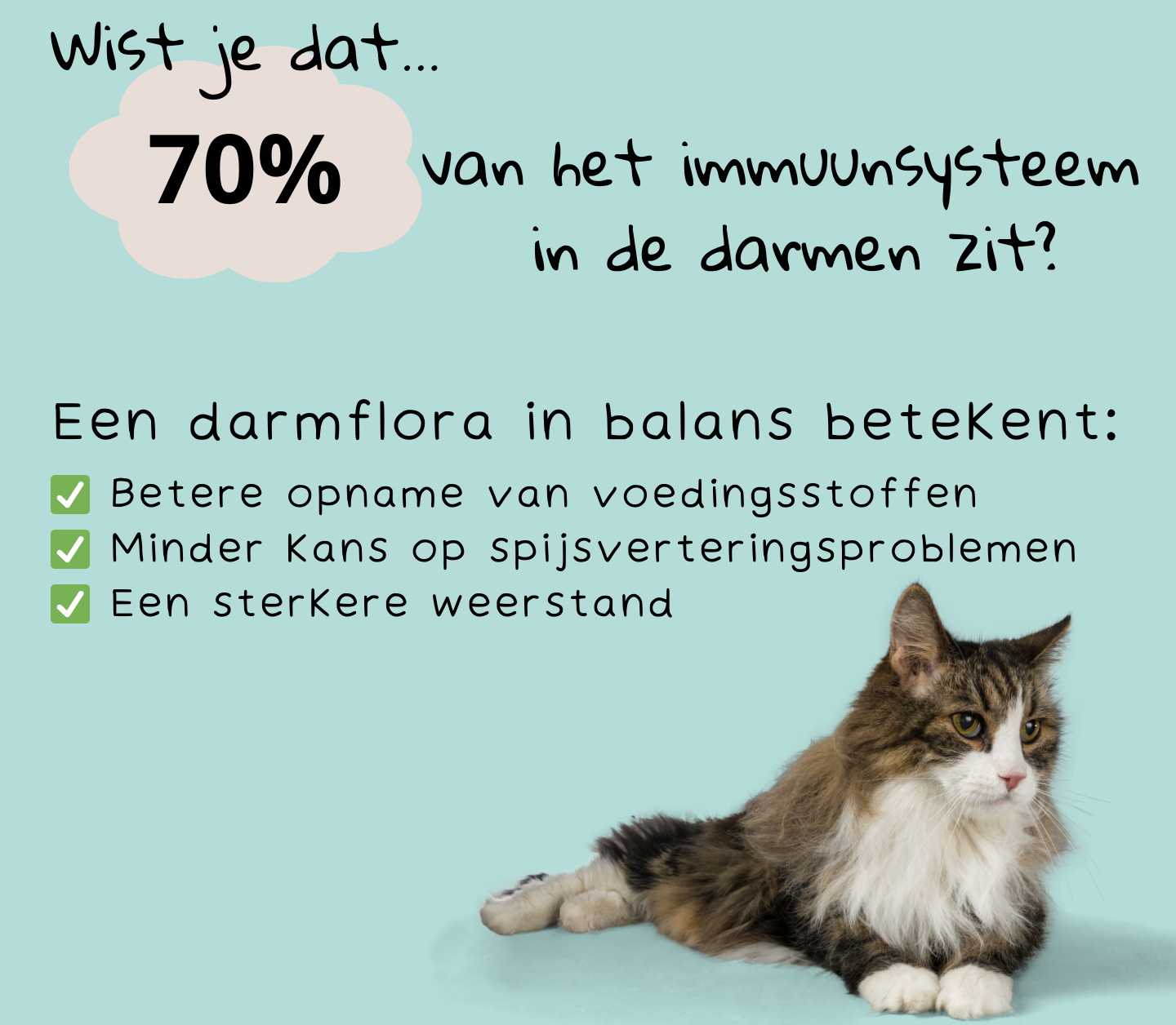 70% immuunsysteem in darm