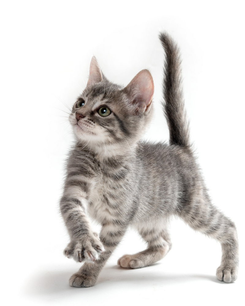 Research & Ontwikkeling