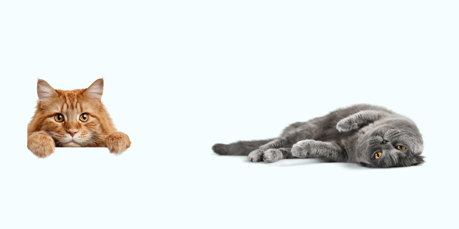 Neem contact met ons op