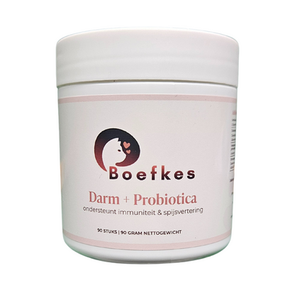 Darm Probiotica Supplement Kat