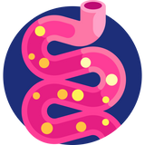 Icoon Ondersteunt de darmflora